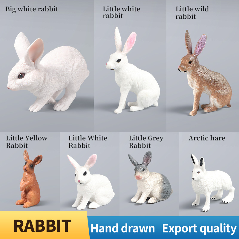 Kids First Education - Poultry Farm Rabbit Bunny Arctic Hare