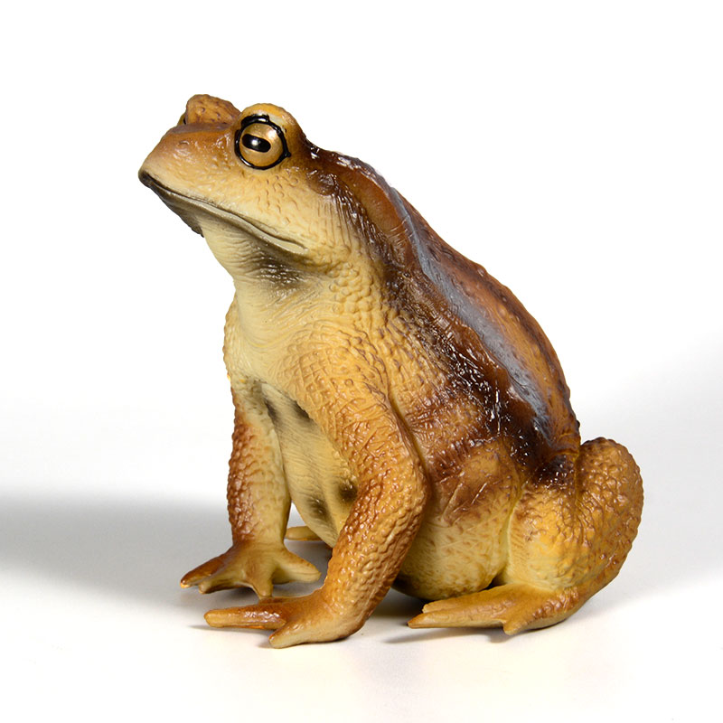 Amphibian Frog figure insect M - Kids First Education ulasan dan harga