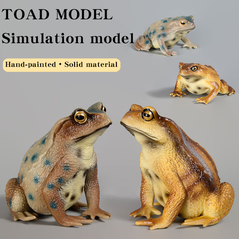 Amphibian Frog figure insect M - Kids First Education ulasan dan harga