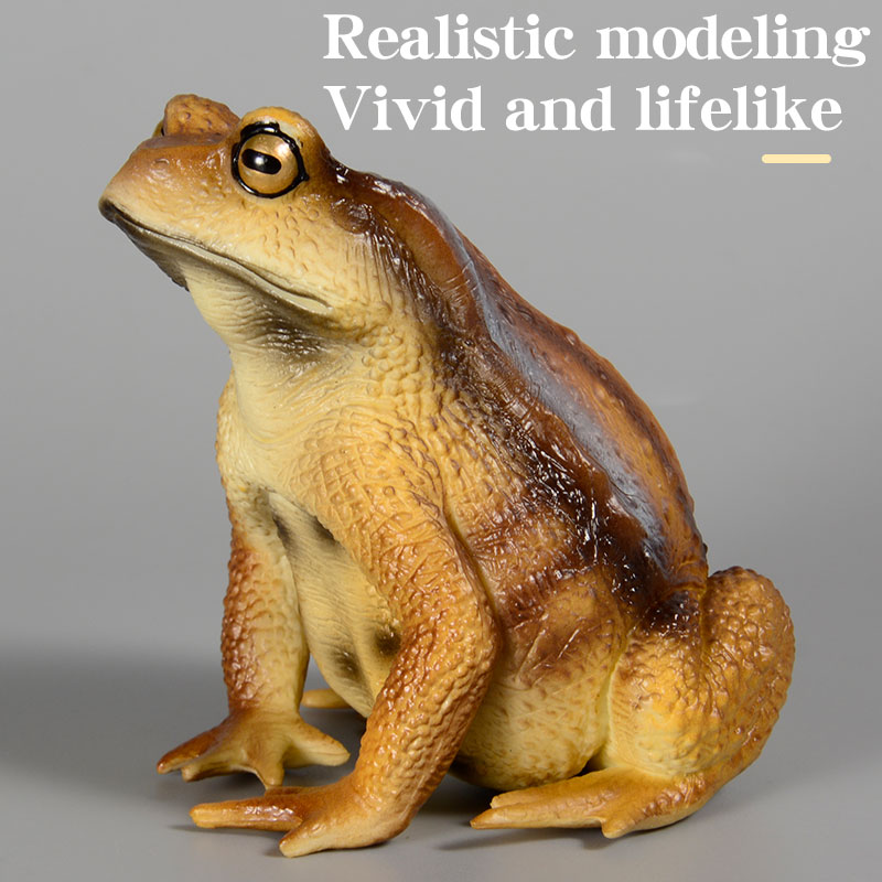Amphibian Frog figure insect M - Kids First Education ulasan dan harga