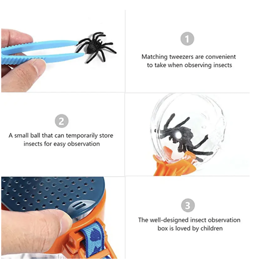 Insect Observation Box Transpa - Kids Education Tools ulasan dan harga