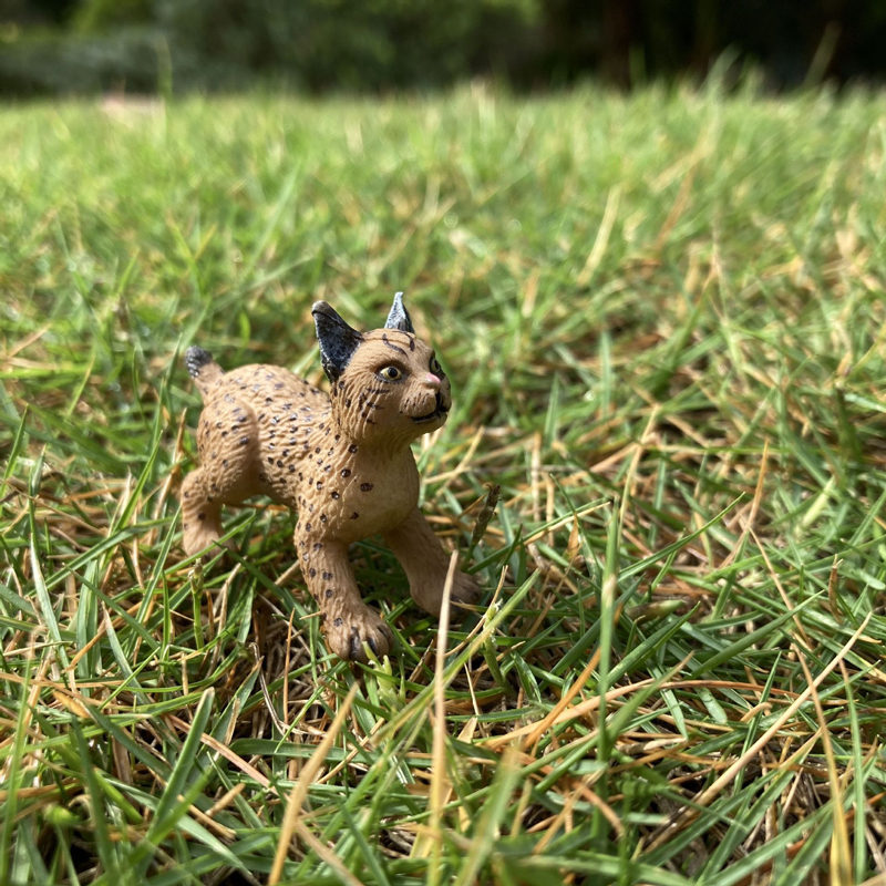 Realistic Animal Toy Model Min - Kids First Education ulasan dan harga