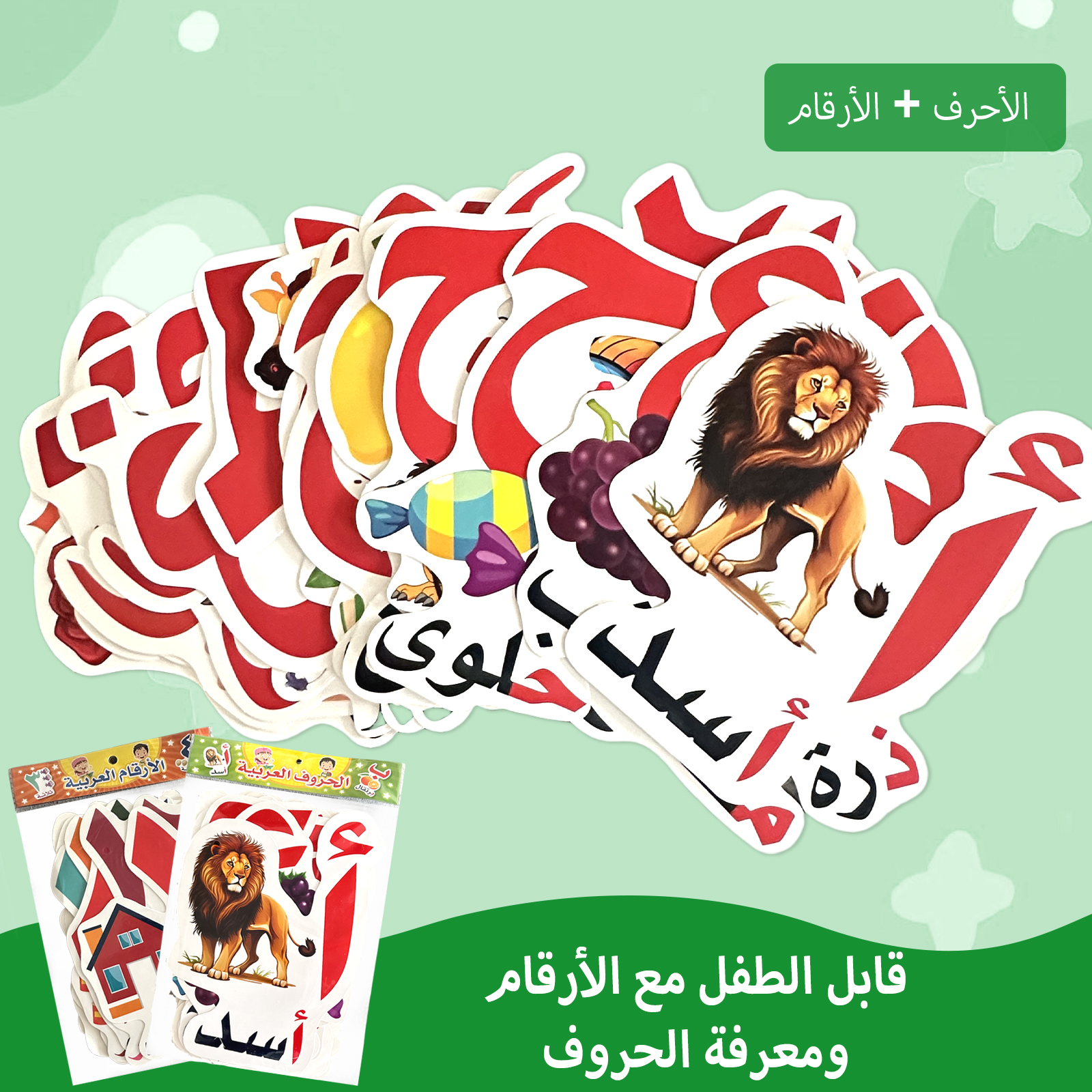 Arabic Alphabet And Number Fla - Kids Education Card ulasan dan harga