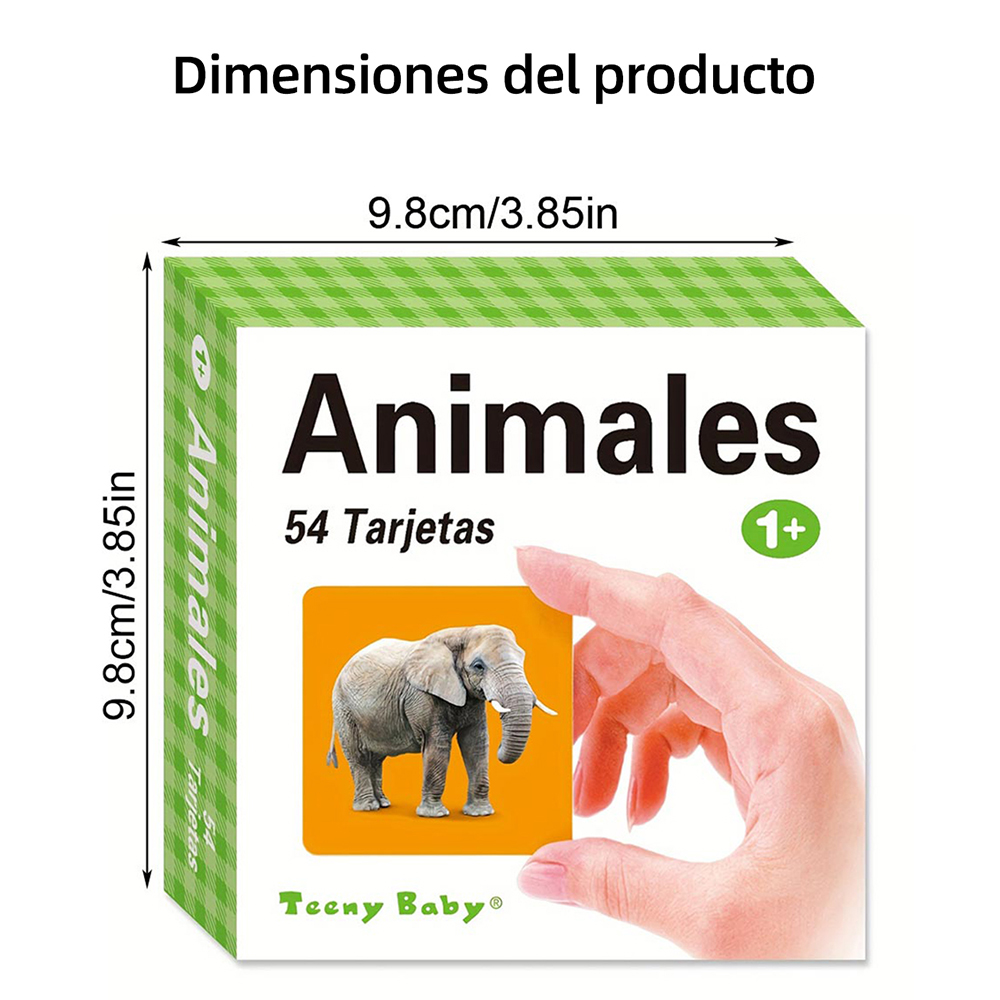 Different types of Spanish lea - Kids Education Card ulasan dan harga