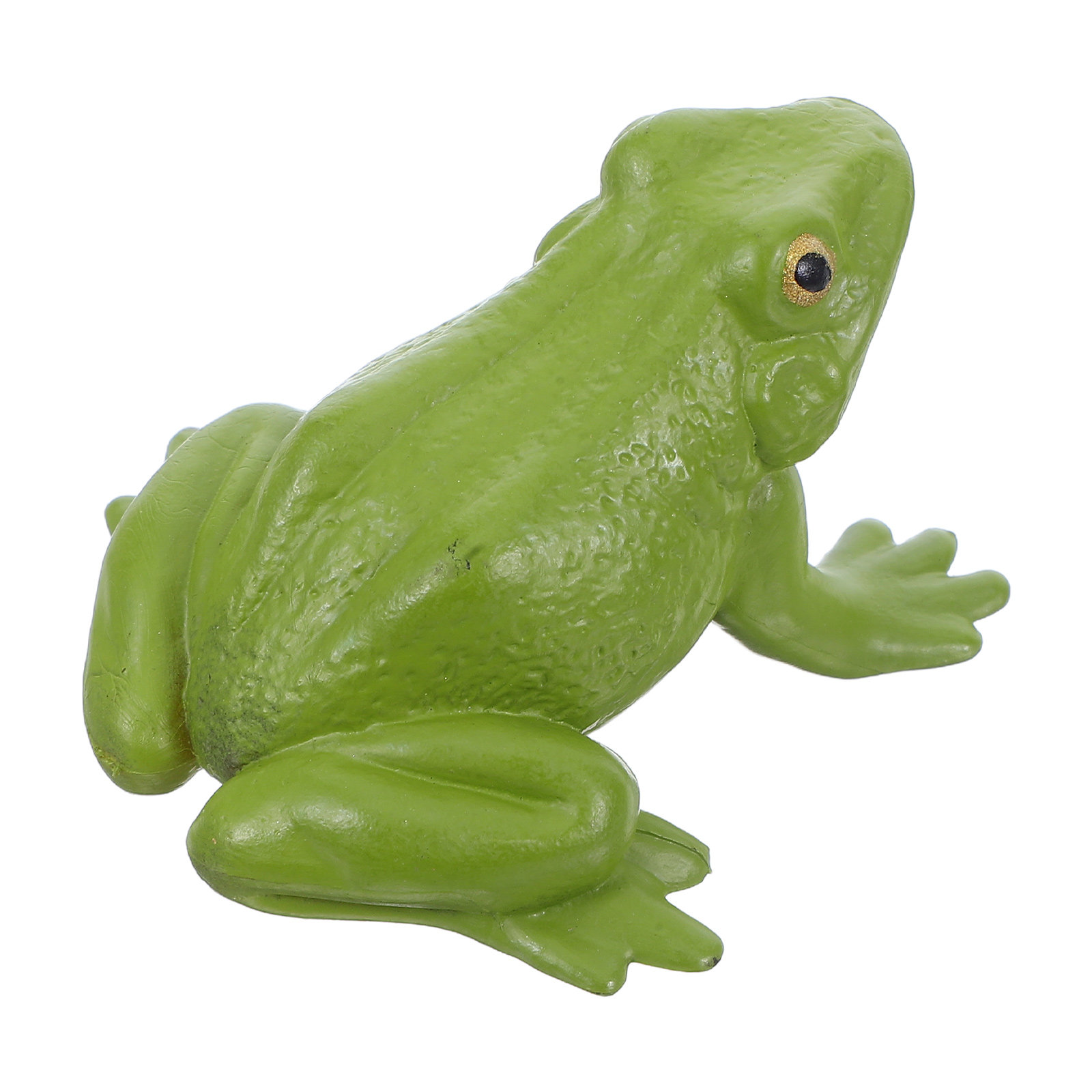 Realistic Tree Frog PVC Small  - Kids Early Education ulasan dan harga