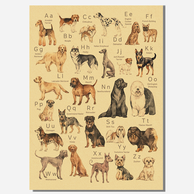 Alphabet with Cartoon Animals  - Kids Education Wallpaper ulasan dan harga