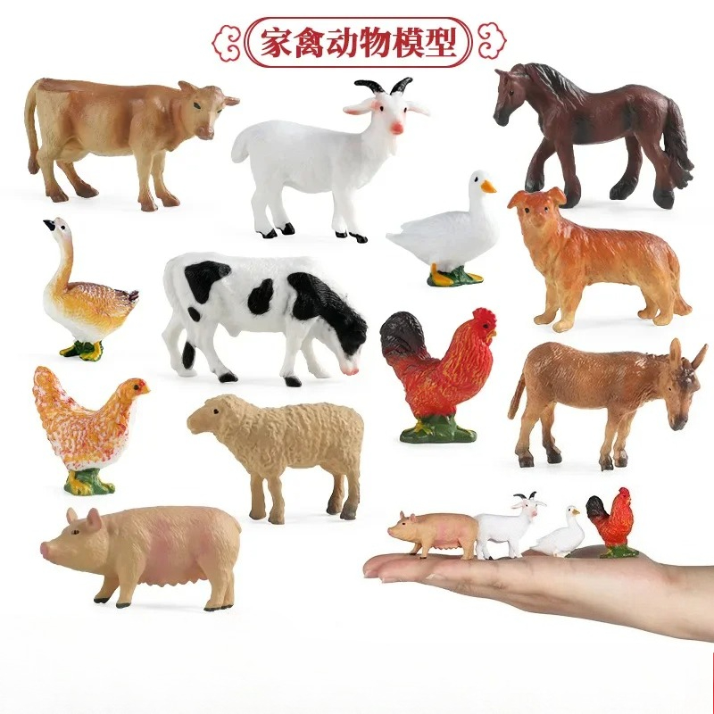 Education Teaching Tool Poultr - Kids Education Tools ulasan dan harga