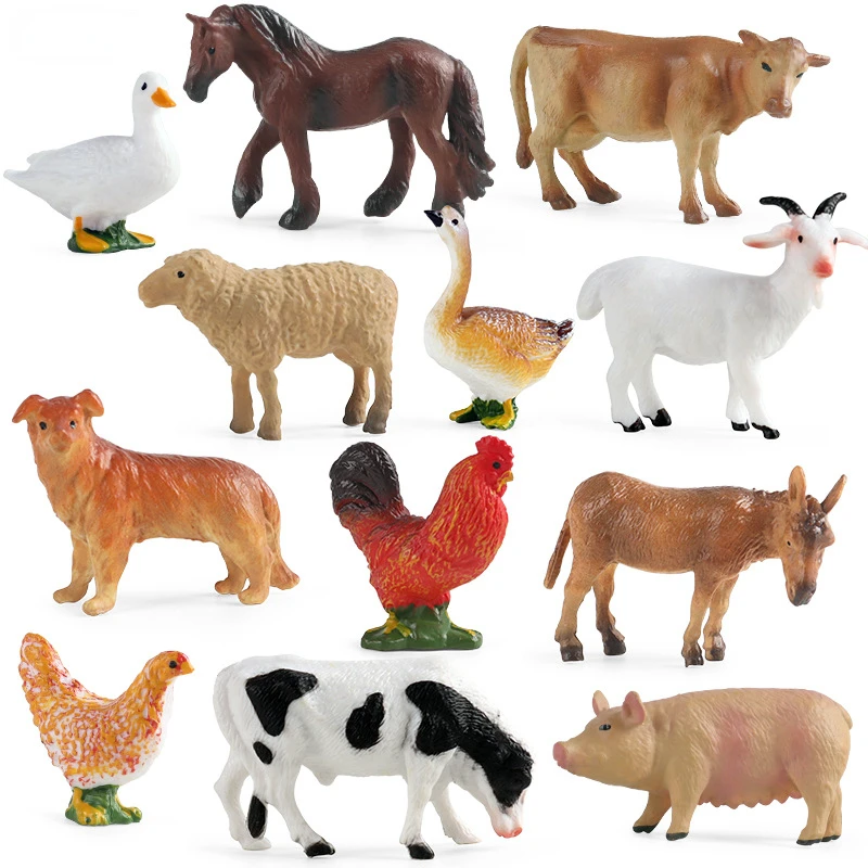 Education Teaching Tool Poultr - Kids Education Tools ulasan dan harga